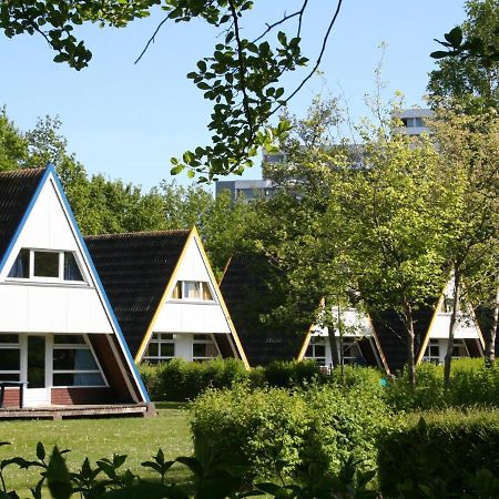 Ferienhaus Im Ostseeresort Dampland エクステリア 写真