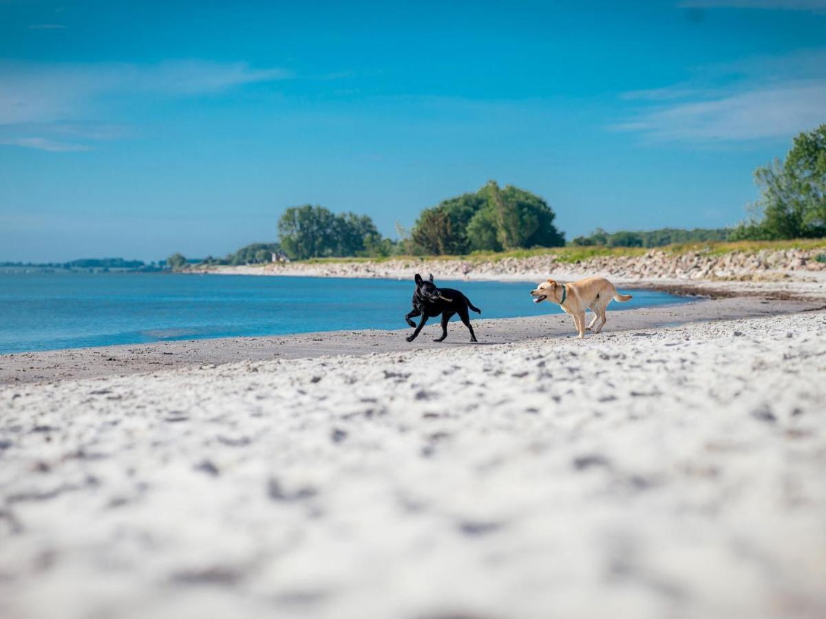 Ferienhaus Im Ostseeresort Dampland エクステリア 写真